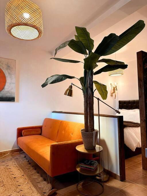 Cerezinoflats-Orange Bay Studio Сейшал Экстерьер фото